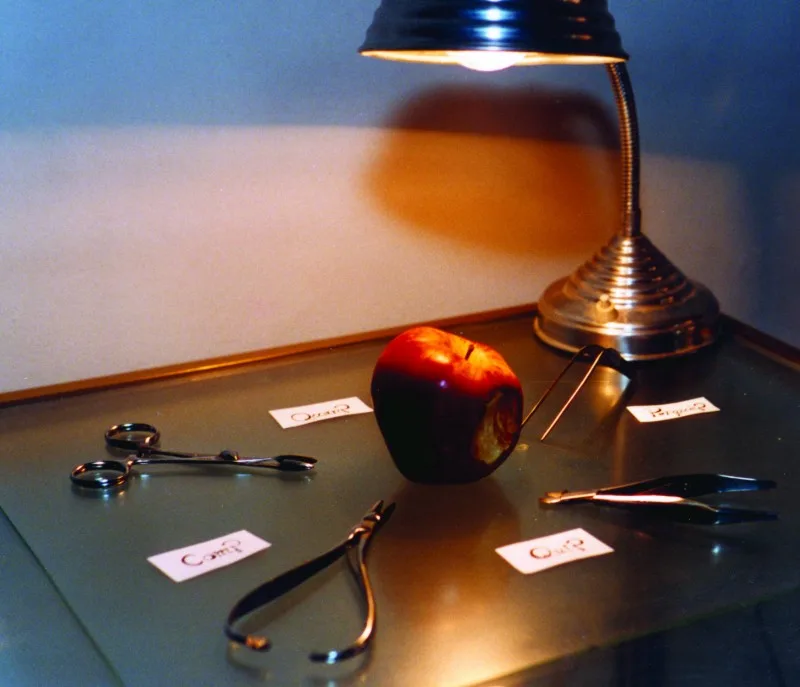 Interrogatori